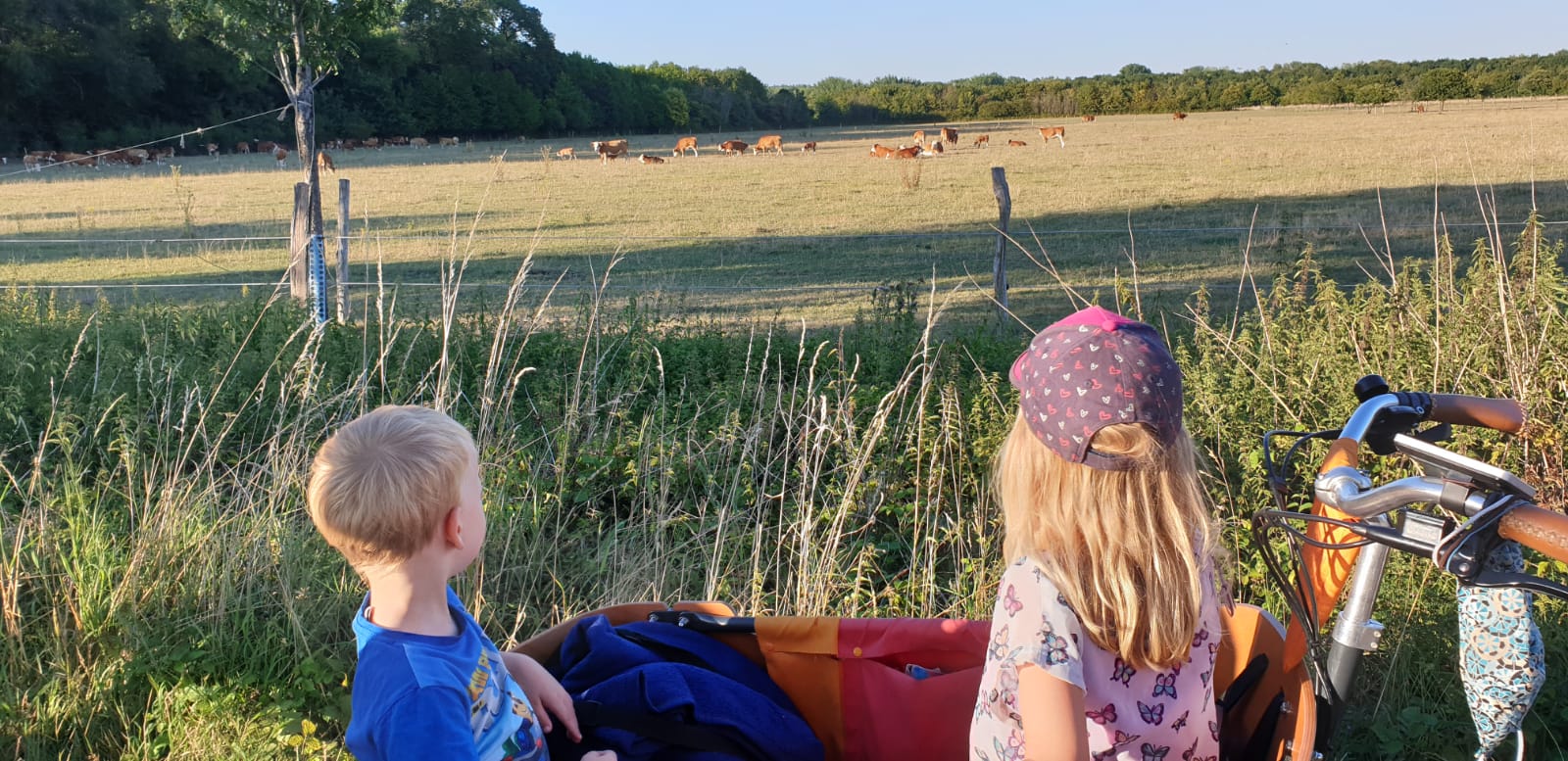 Veedelstour meets Kidical Mass