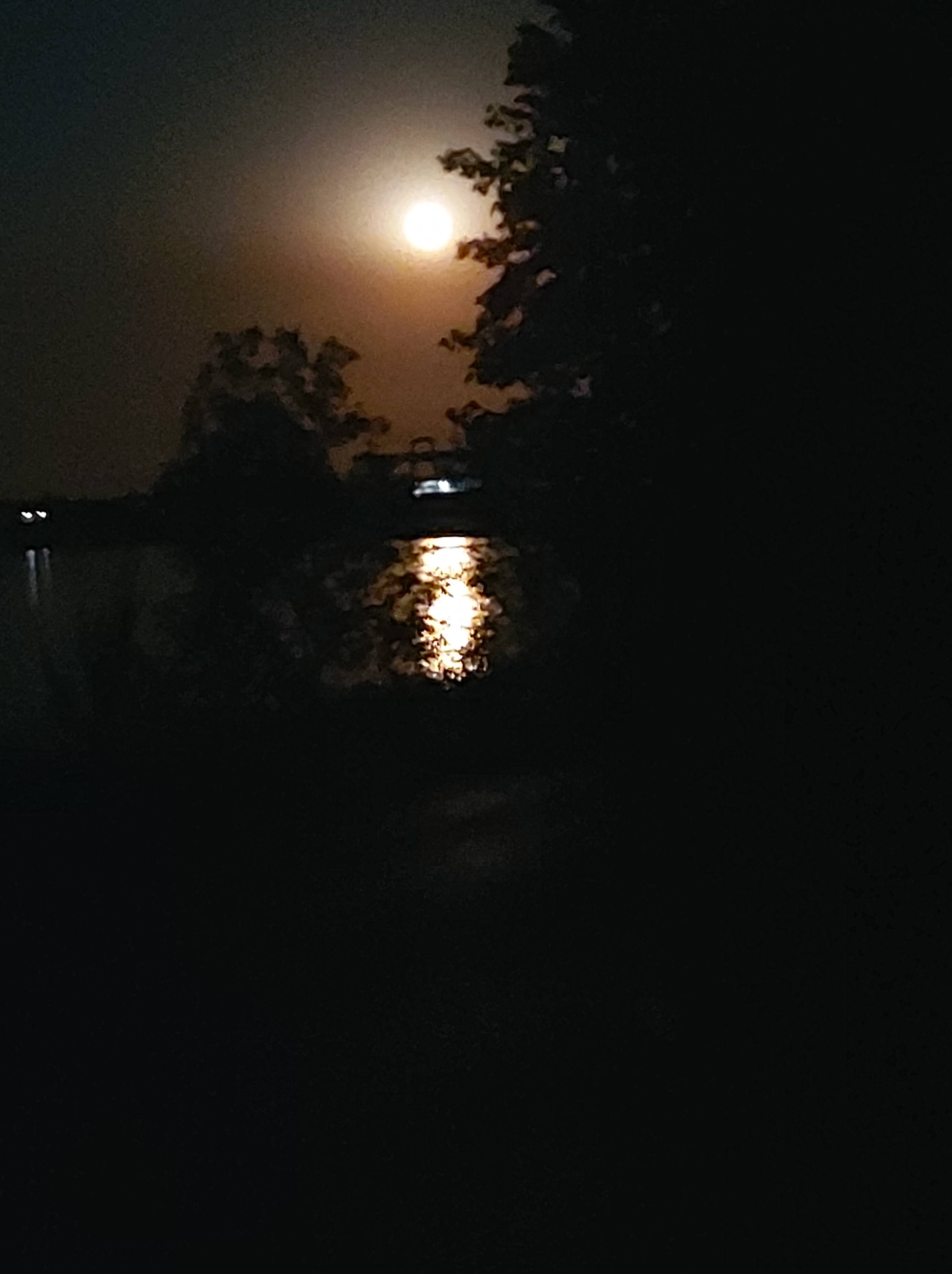 What’s New 12.08.2022?