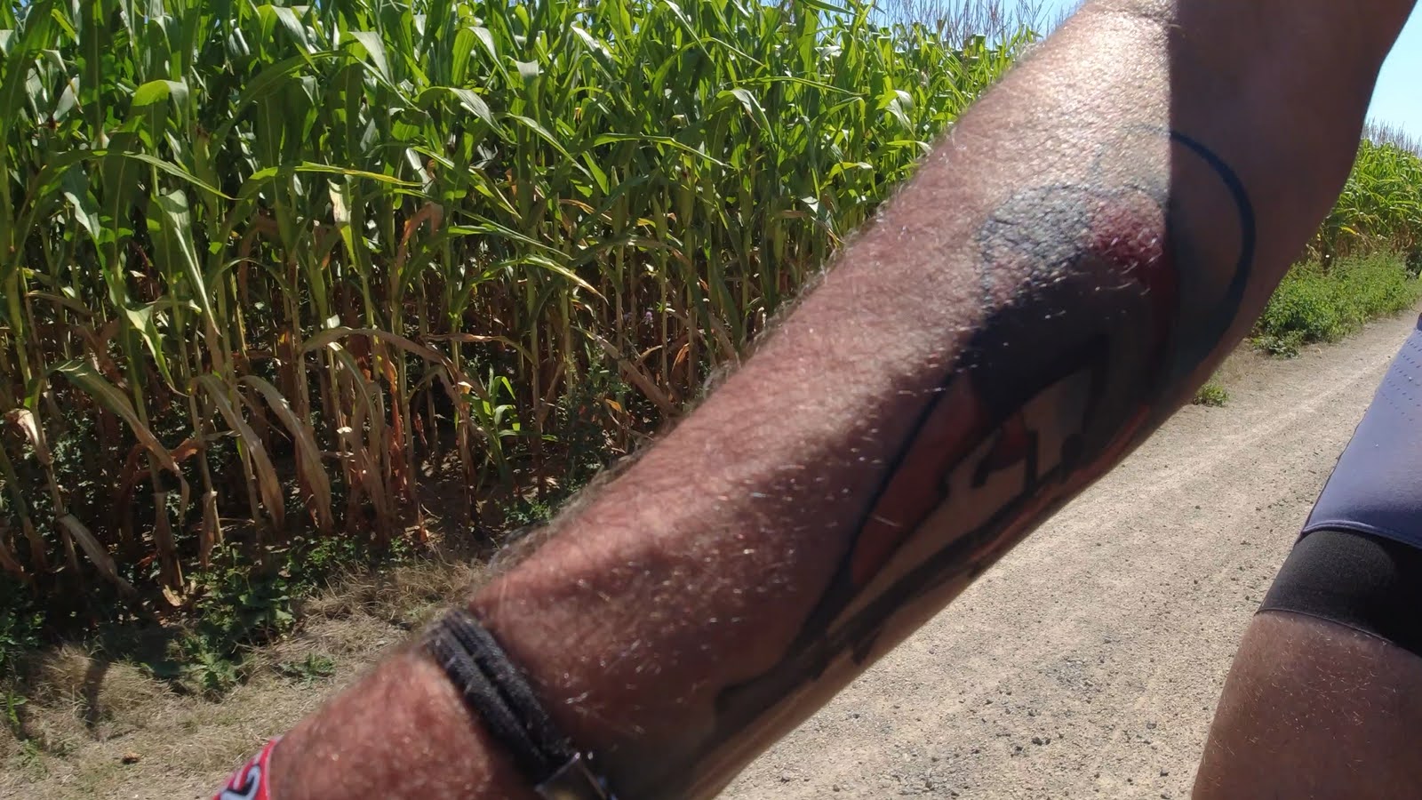 What’s New 11.08.2022?