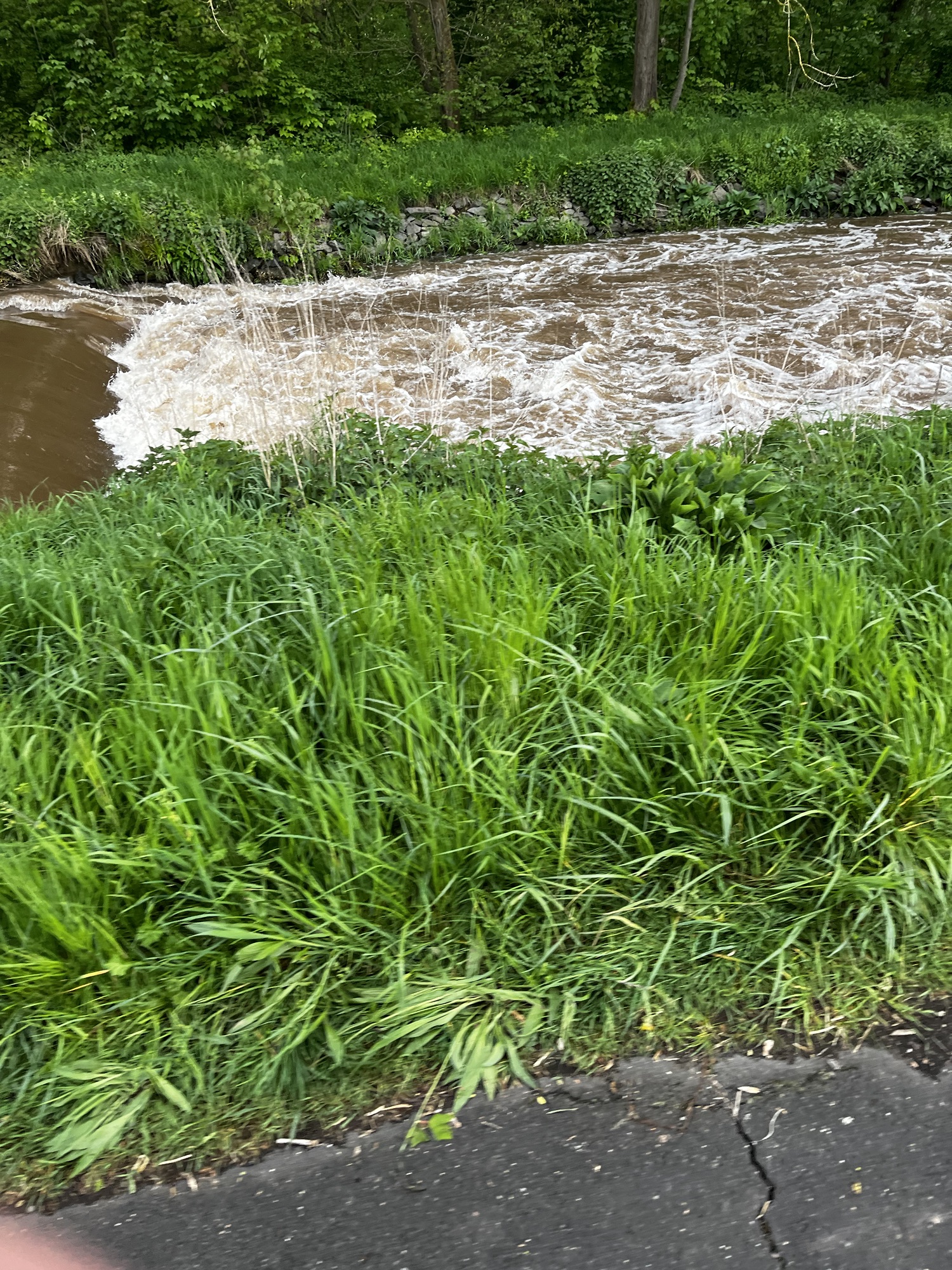 Die Erft nach starken Regenfällen