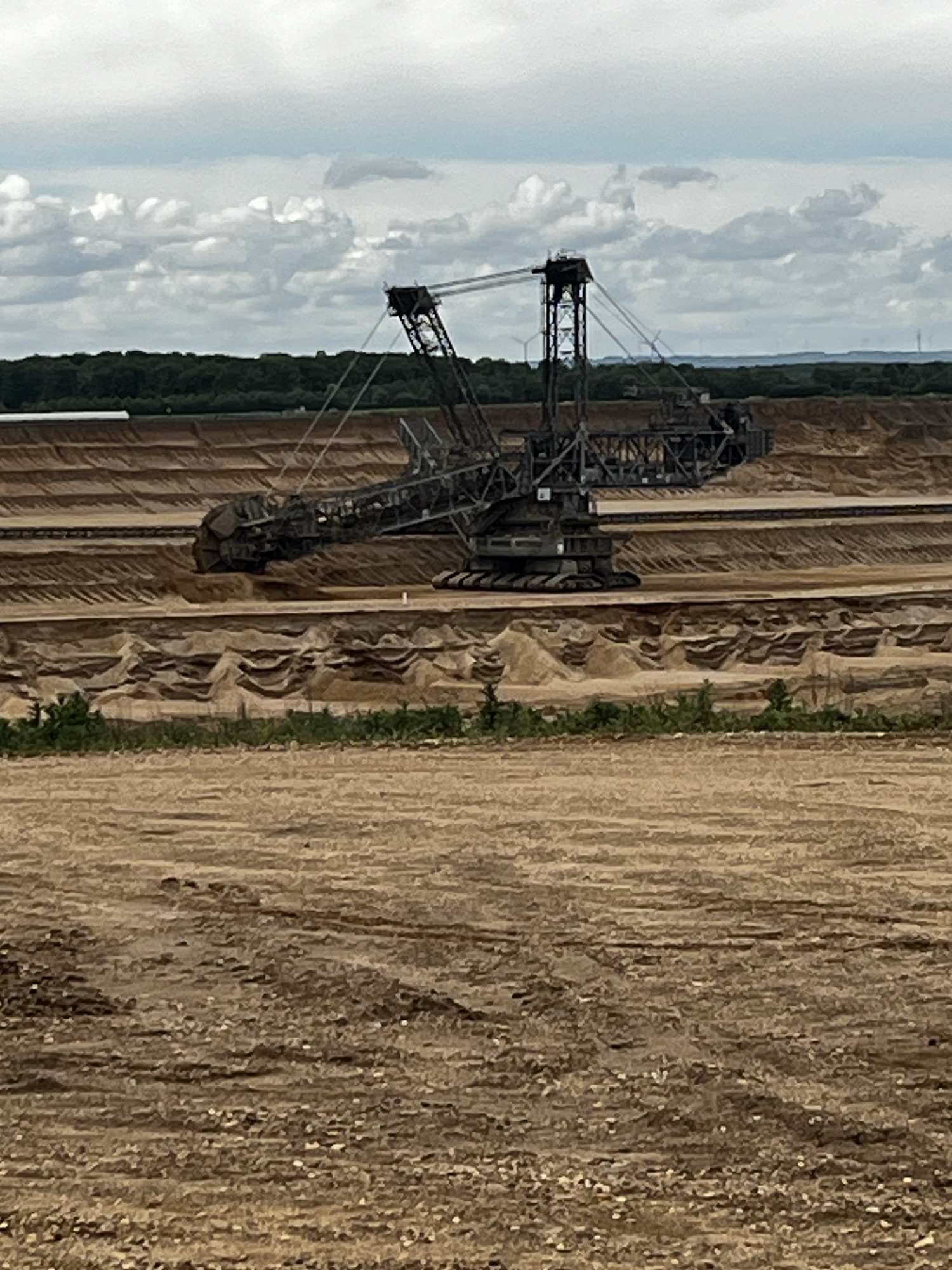 Skorpion trifft Raupe