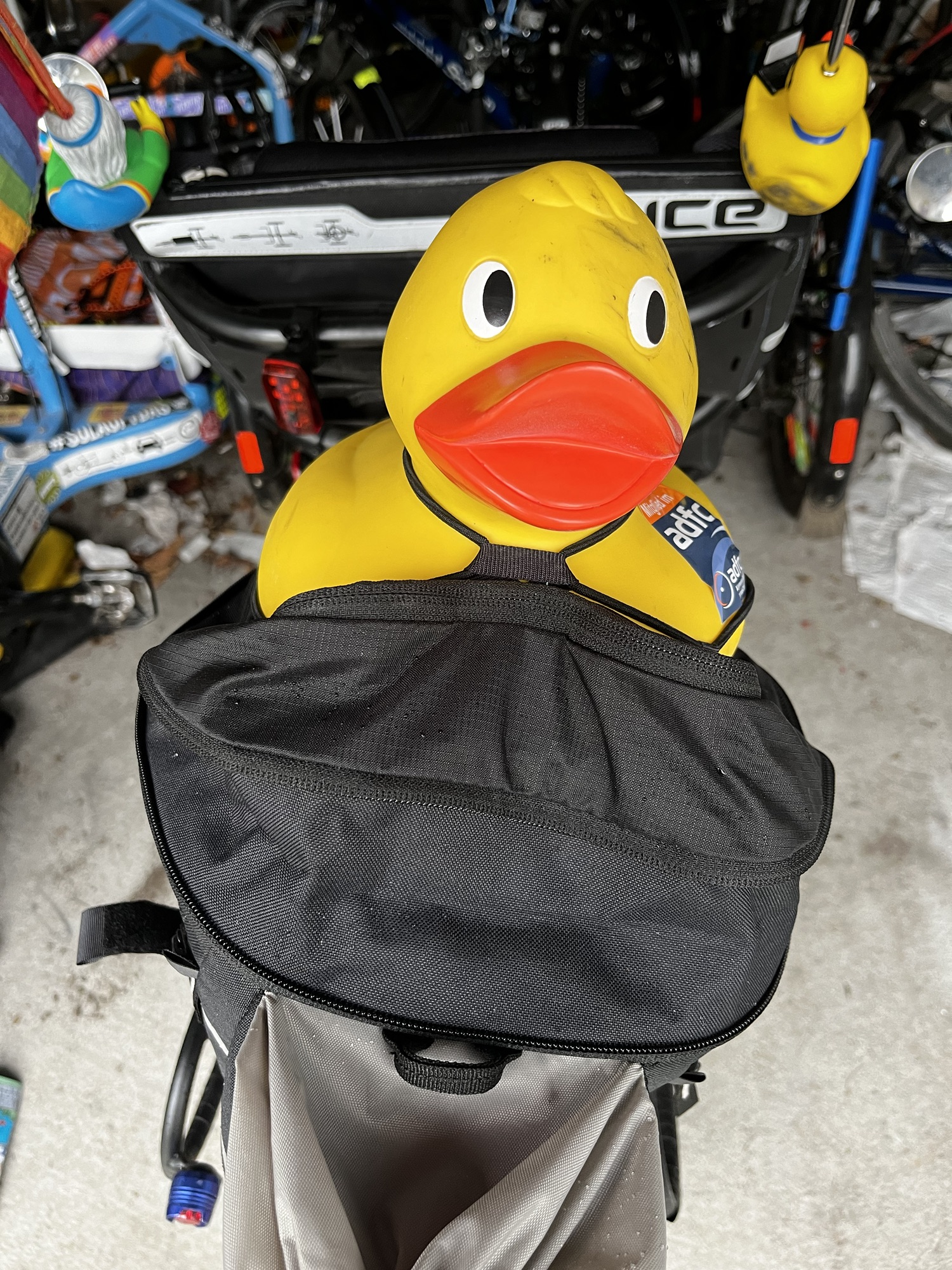 Wir machen Demokratie