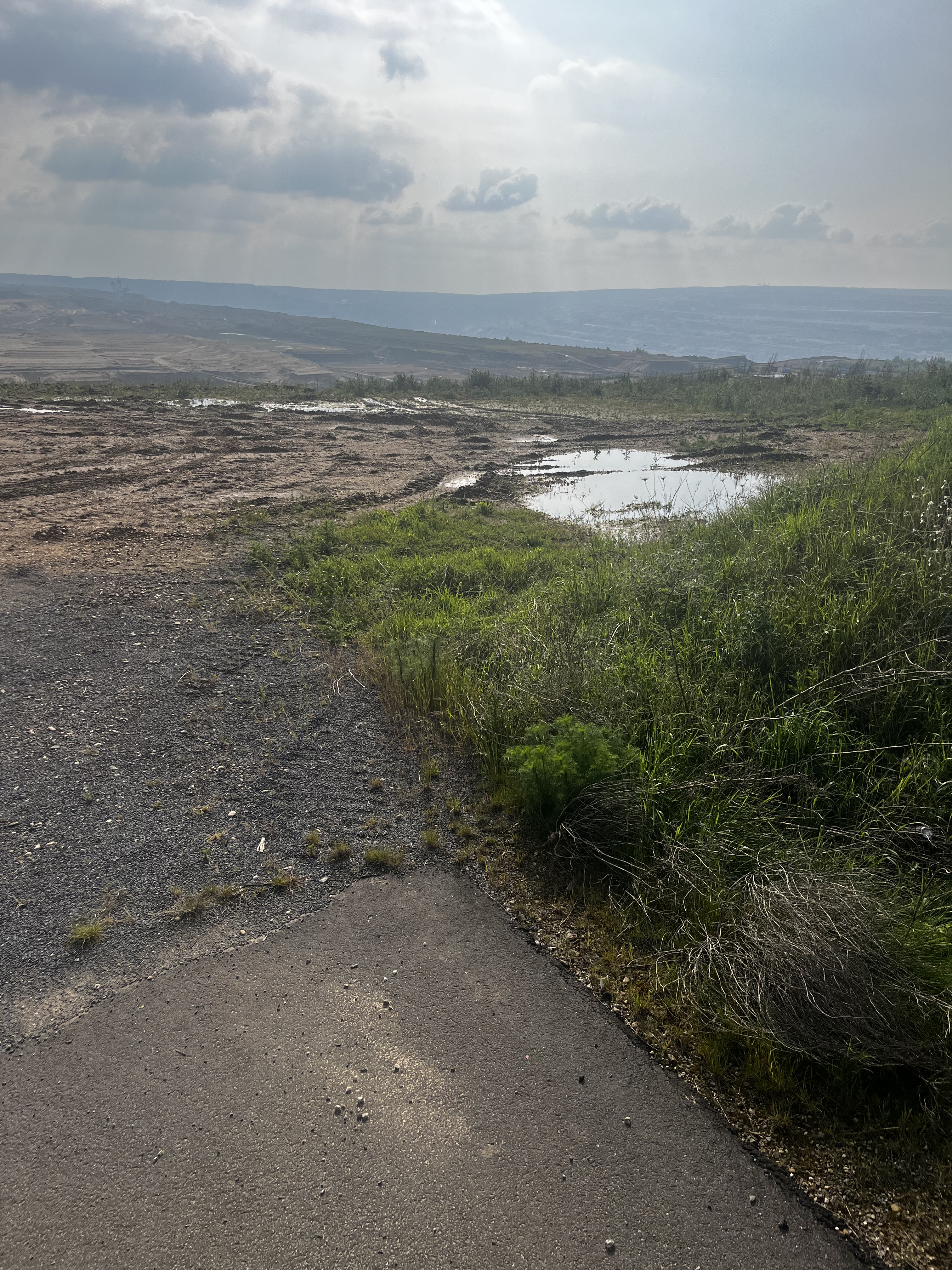 Veedelstour zur Raupe