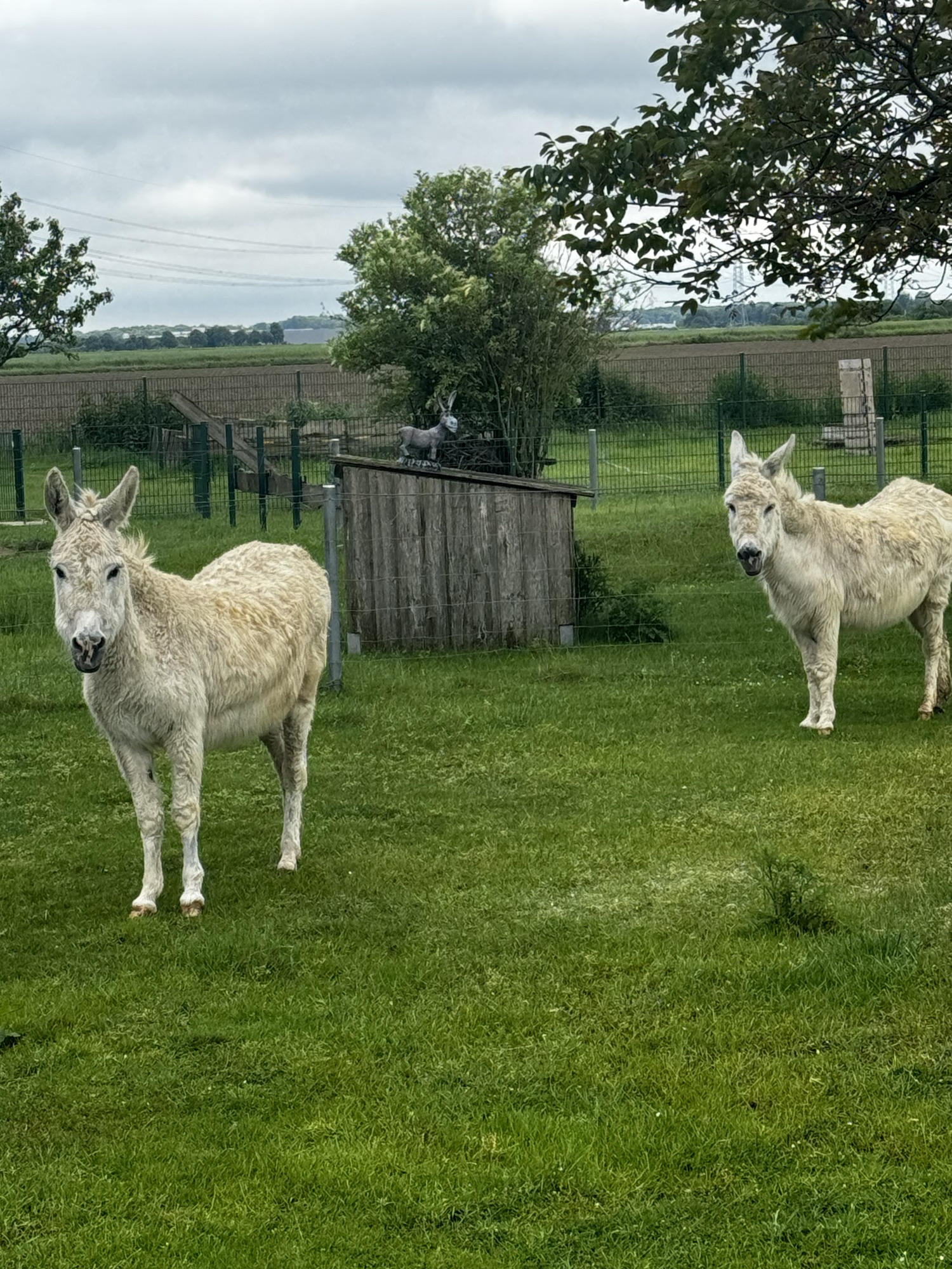 Lange nicht gebloggt