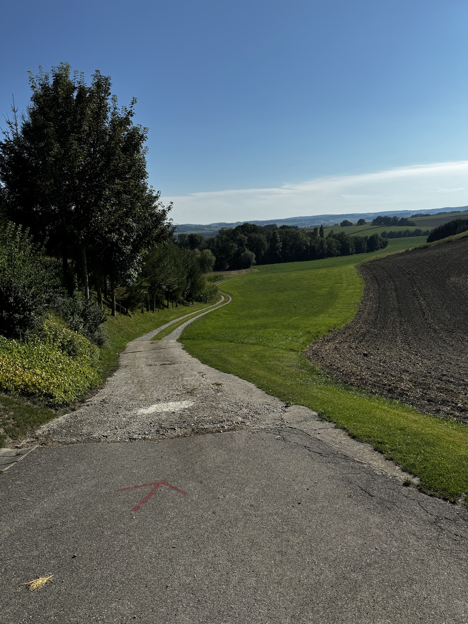Mountainbikes und ich