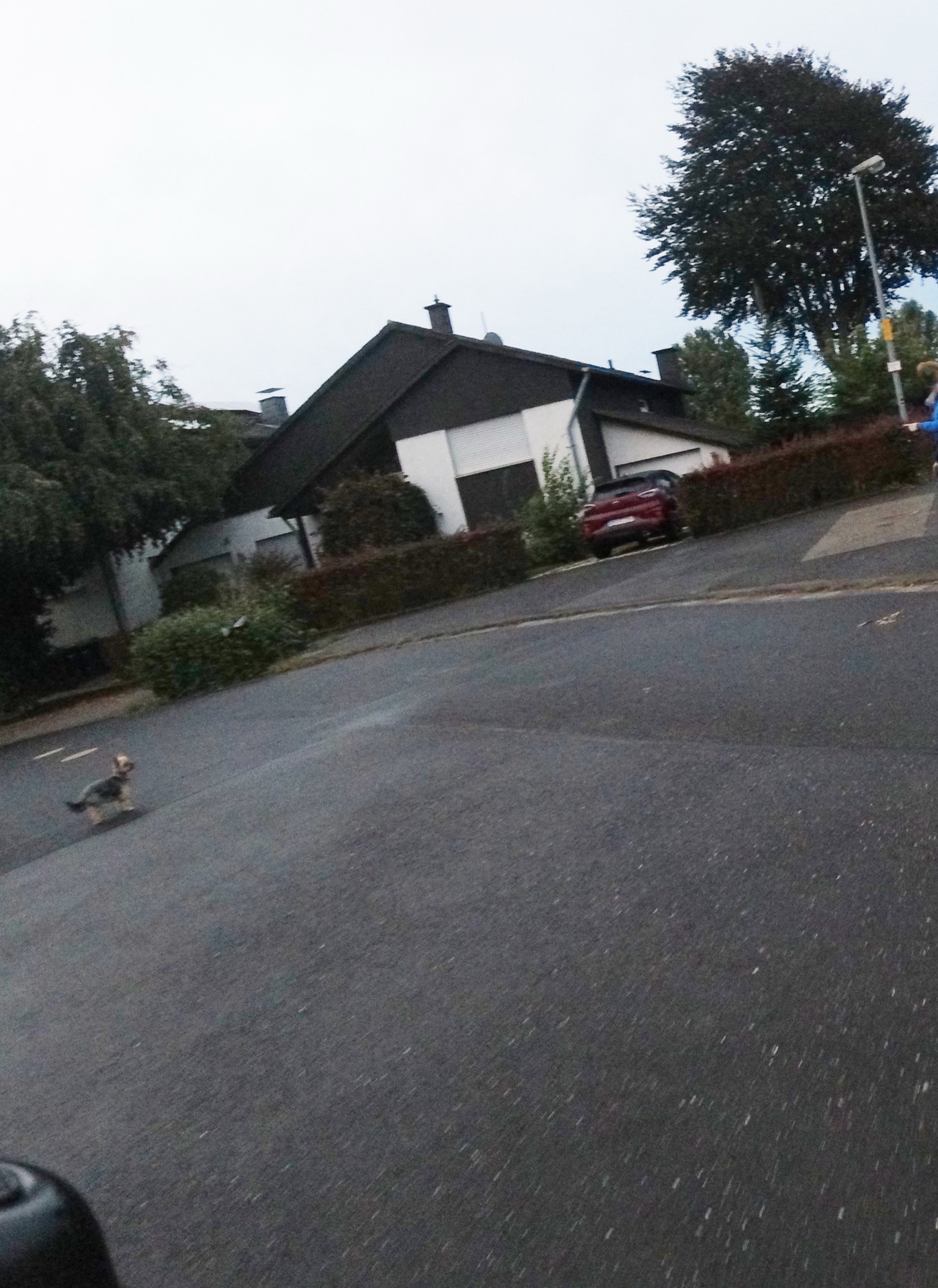 Läuft er oder läuft er nicht?