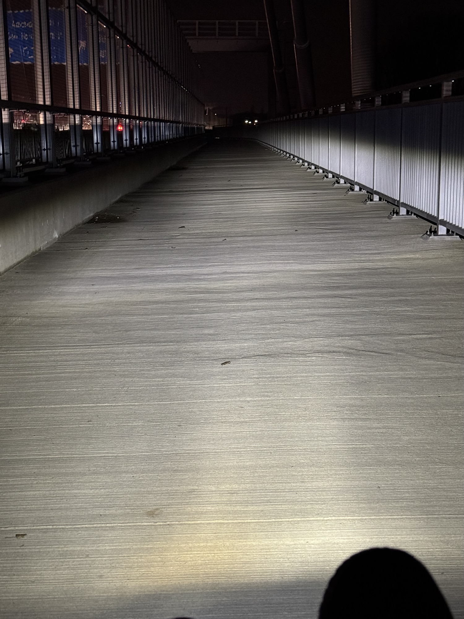 Wurzelaufbrüche ohne Wurzeln