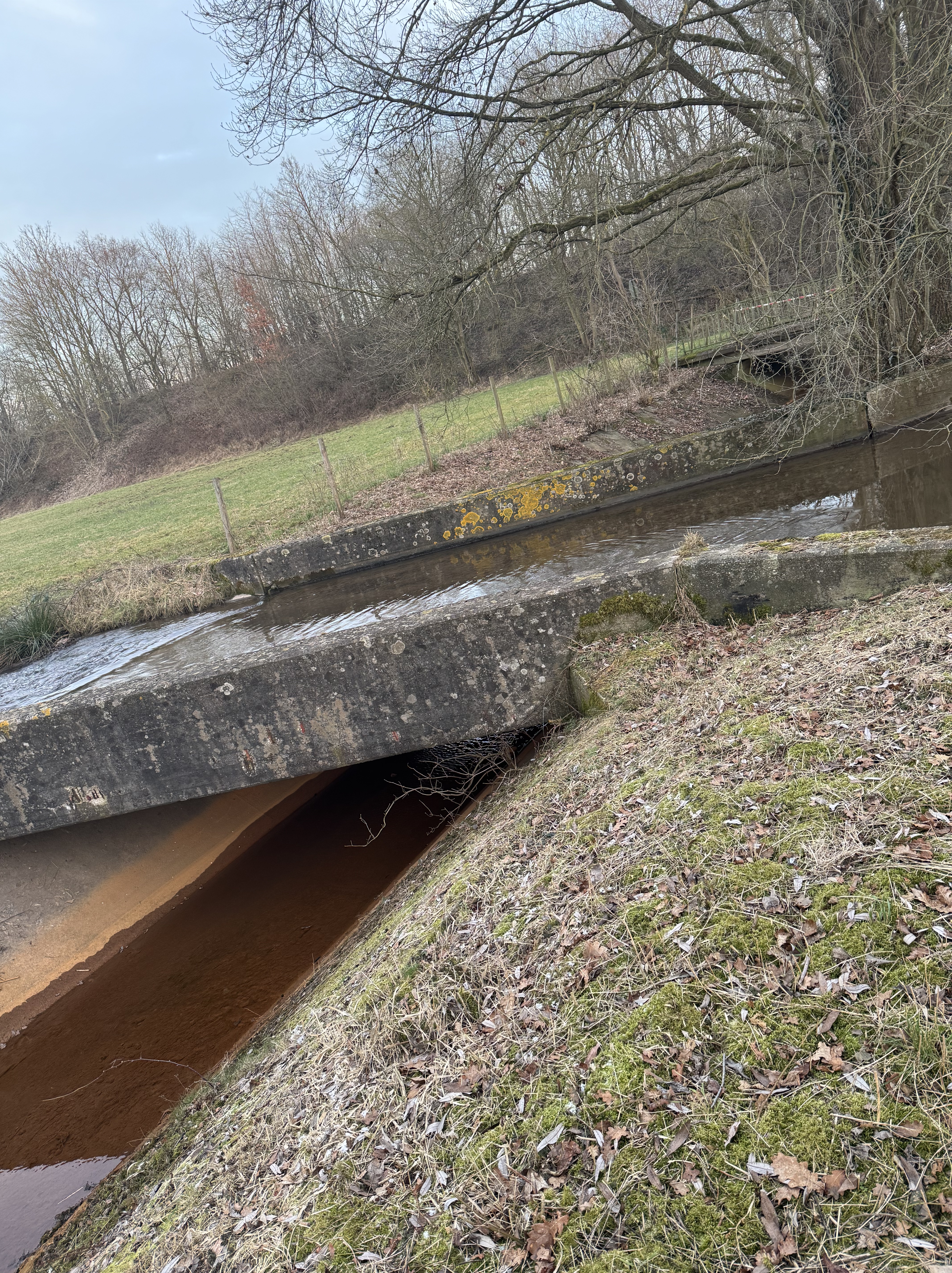 #wasserkreuz, #kleineerft, #erft, #randkanal,