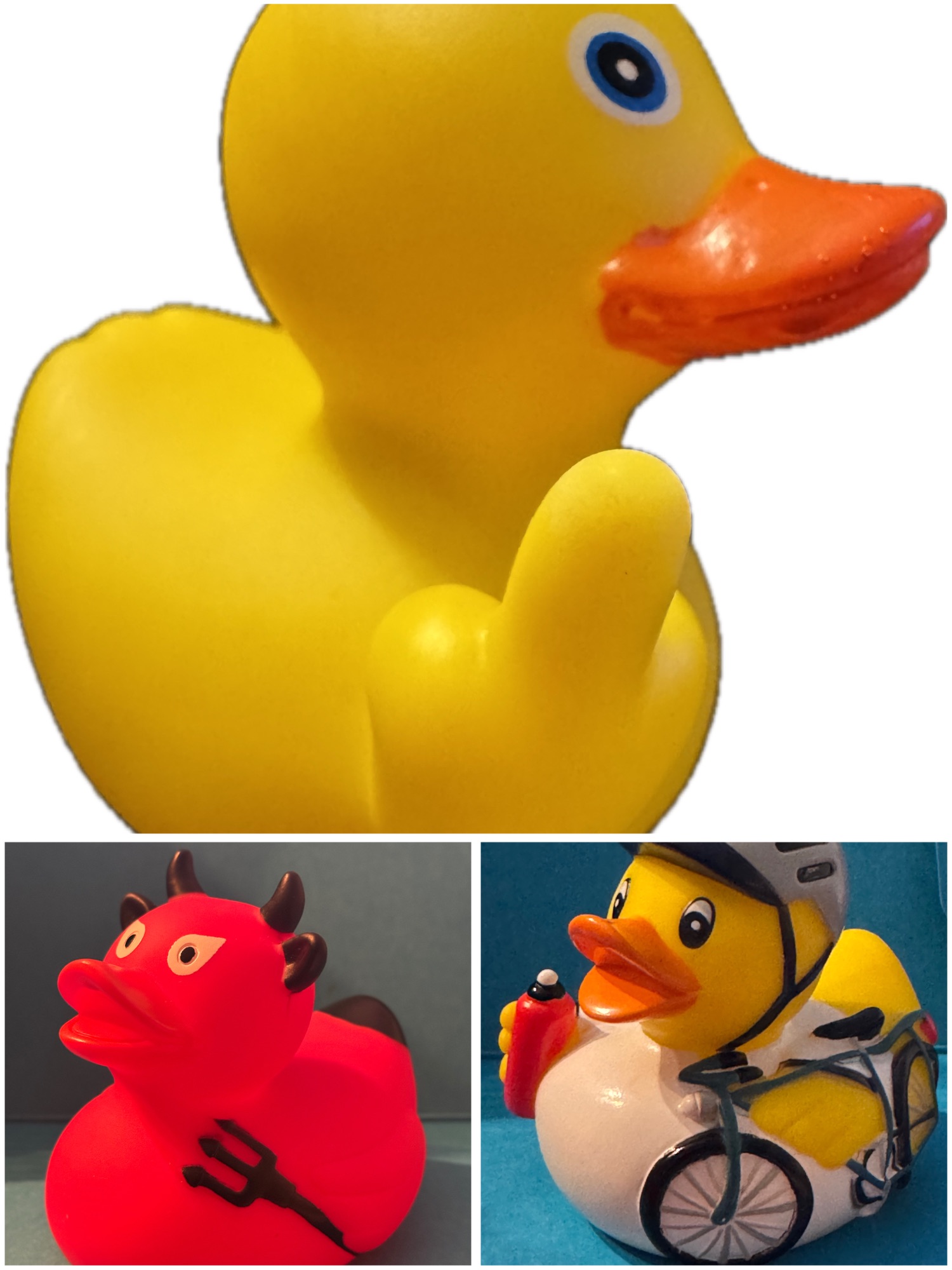 Ente, wem Ente gebührt