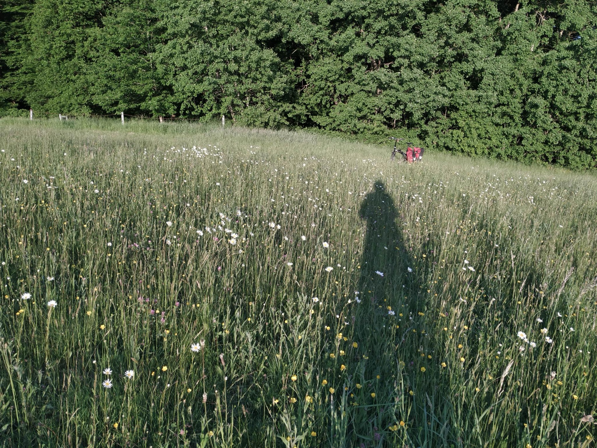 🥾🥾🚲🚲MIKROABENTEUER – EINS MIT DER NATUR (RAD)WANDERUNG BEI ST WENDEL: OBERLINXWEILER STEINBERG NSG, FALTRADTOUR SPIEMONT / NIEDERLINXWEILER