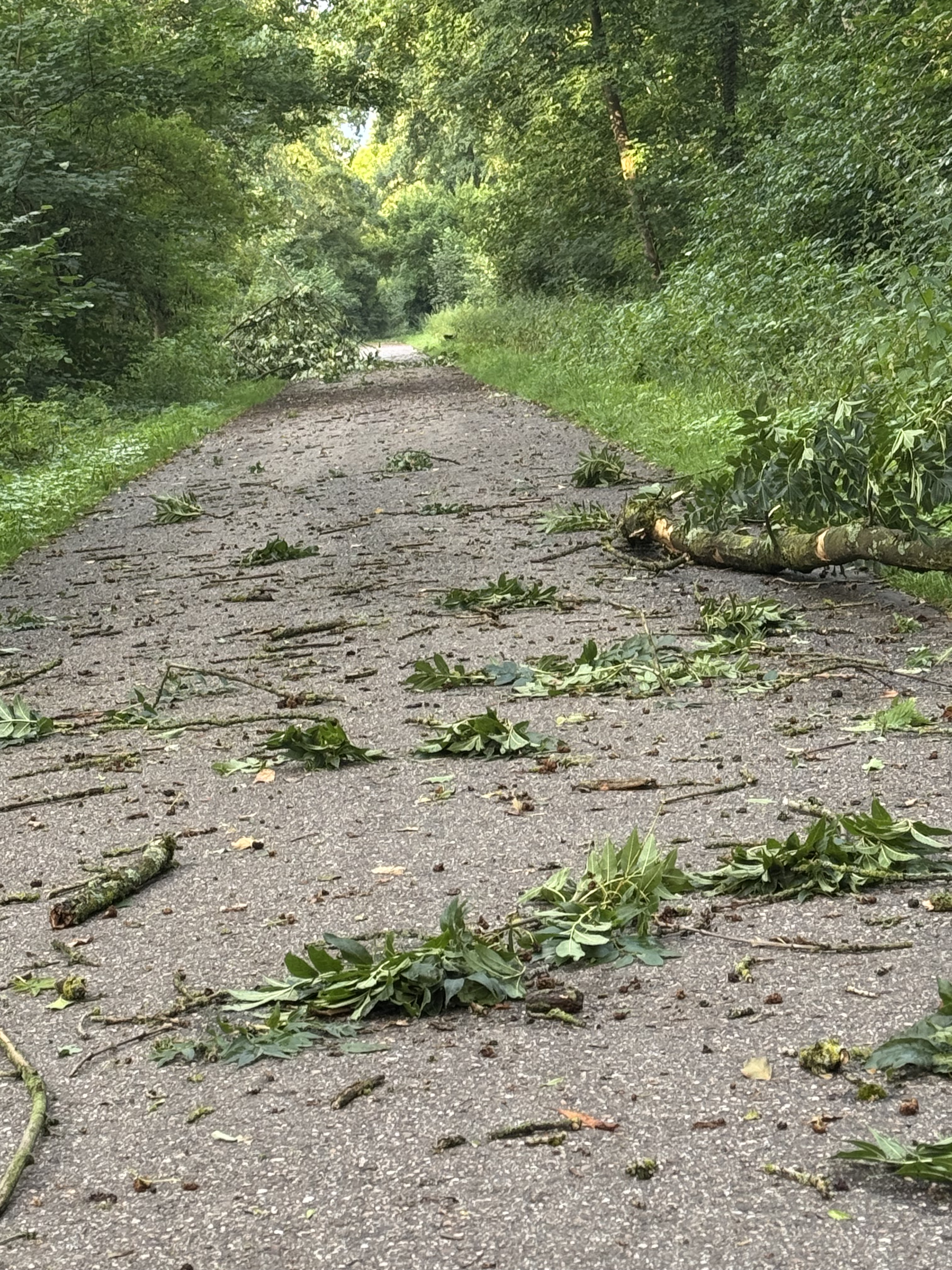 Die Unruhe nach dem Sturm