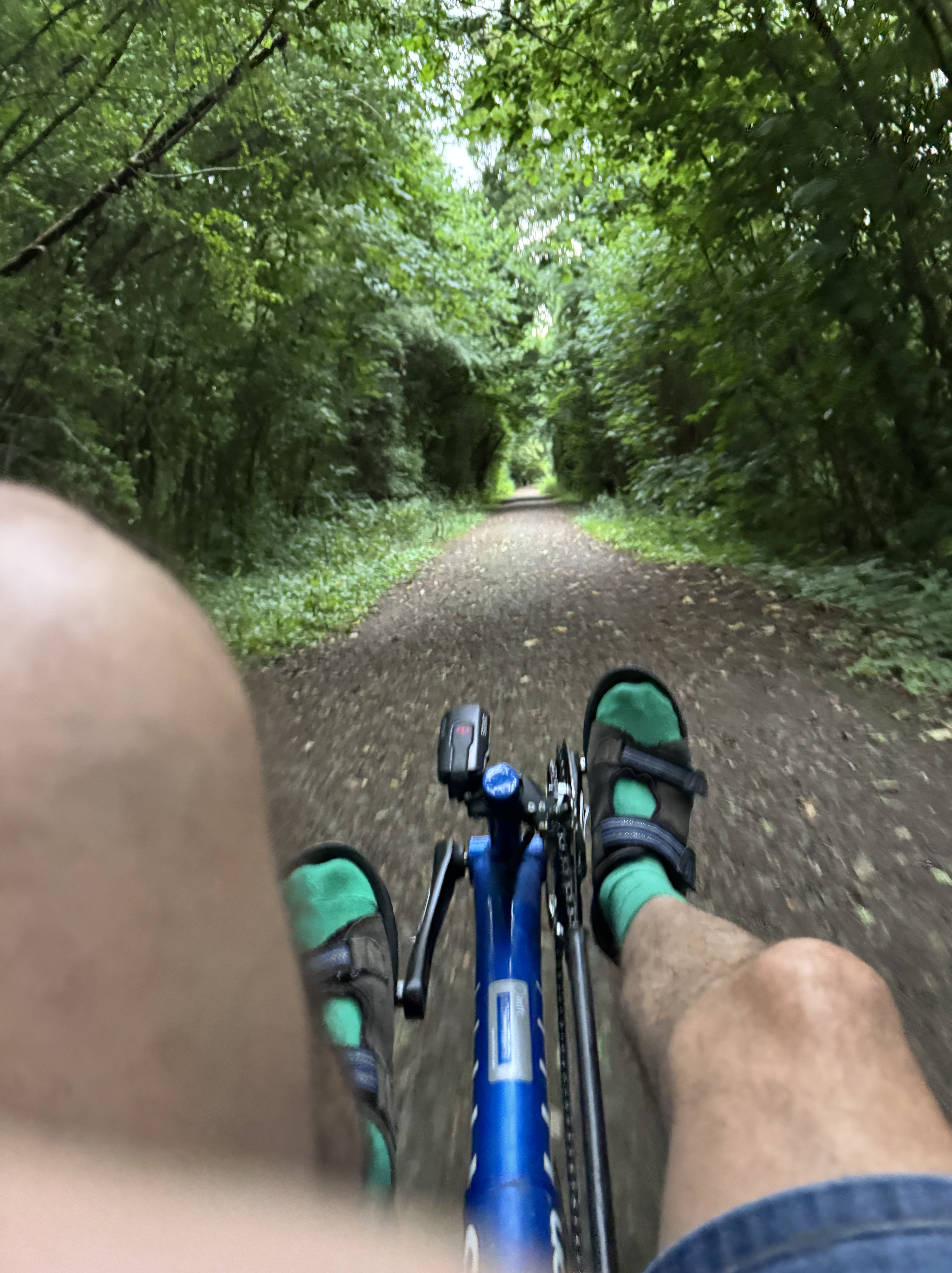Neue Wege an der Erft