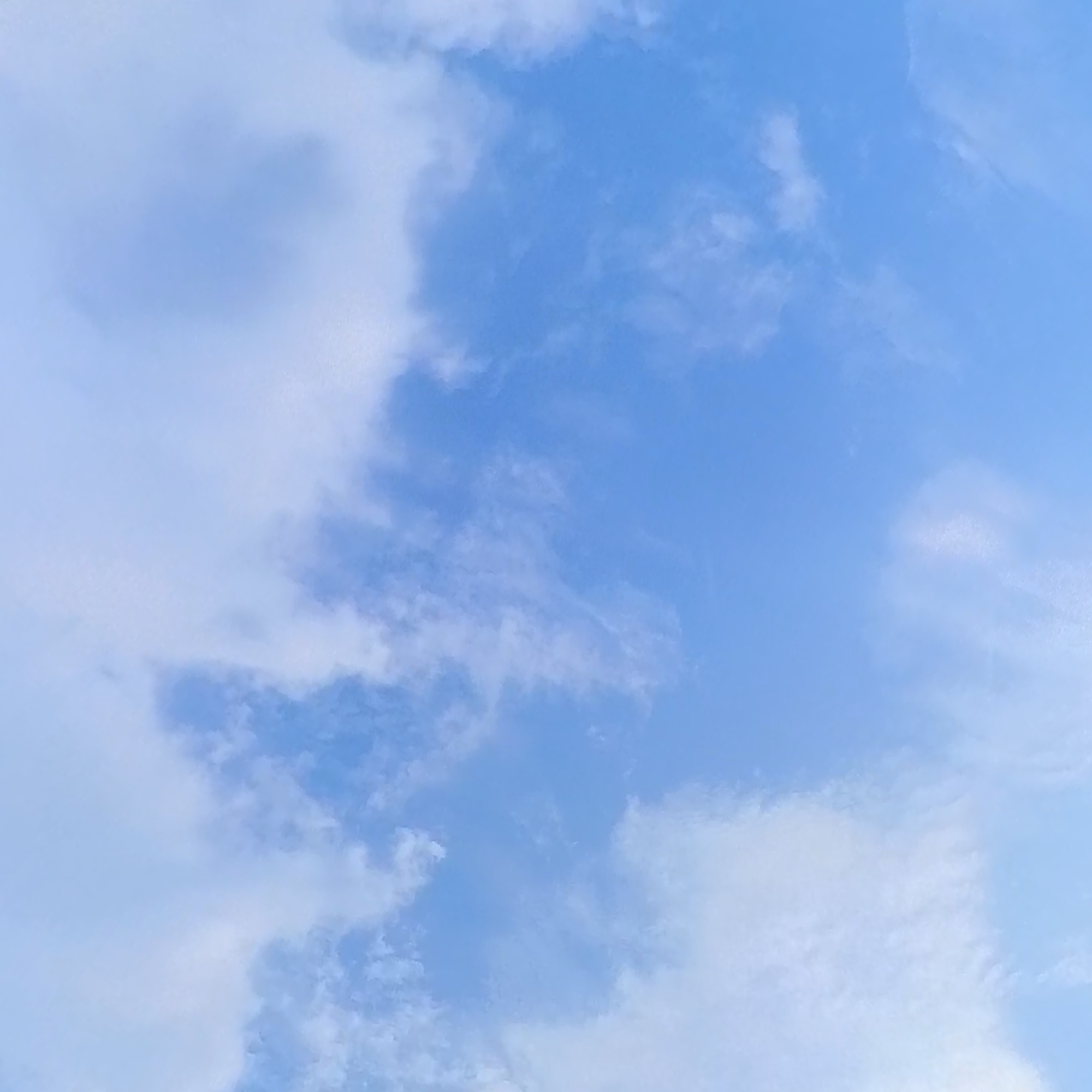 Den Himmel eingefangen