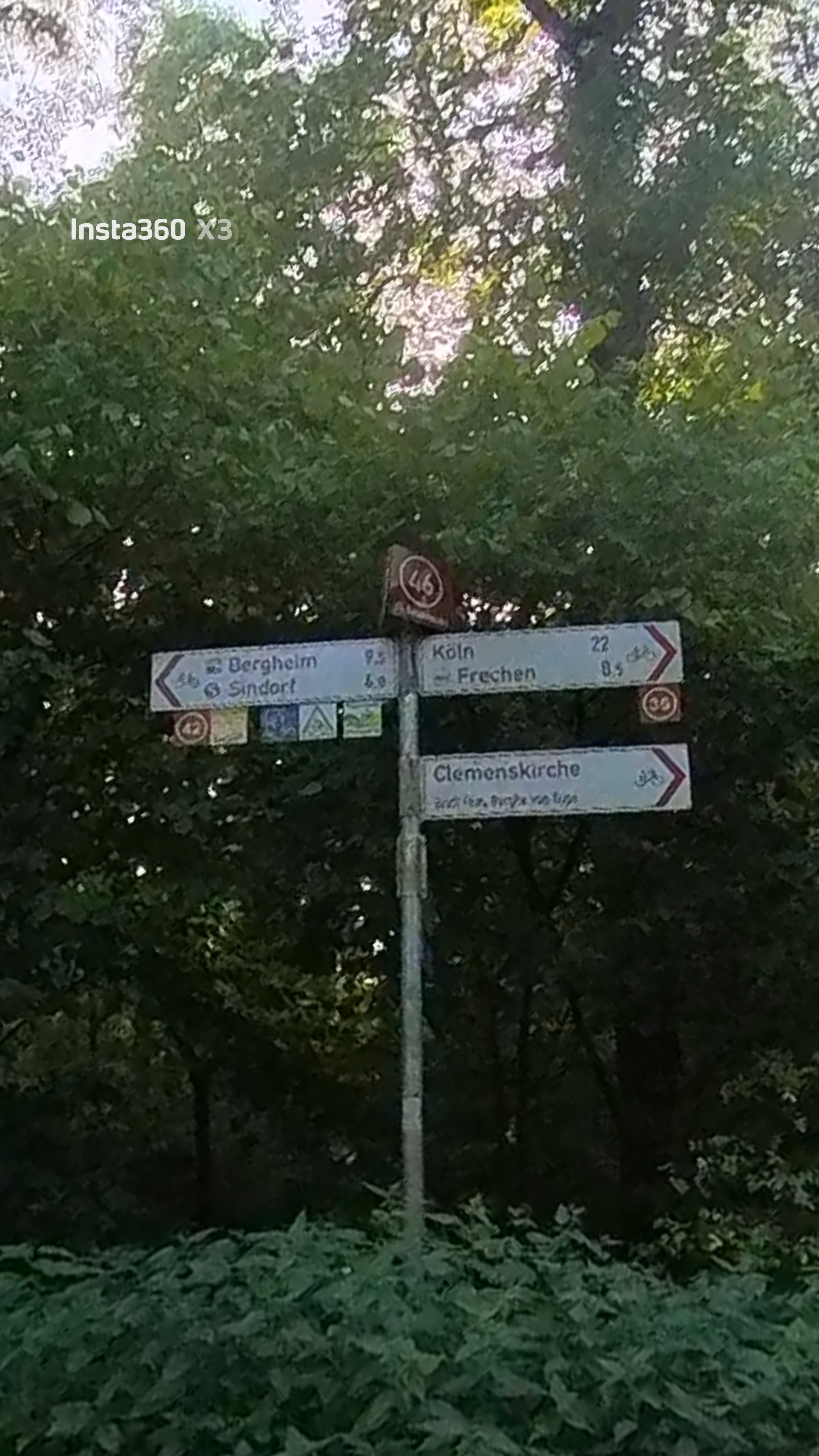 Licht und Schatten an den Hundstagen