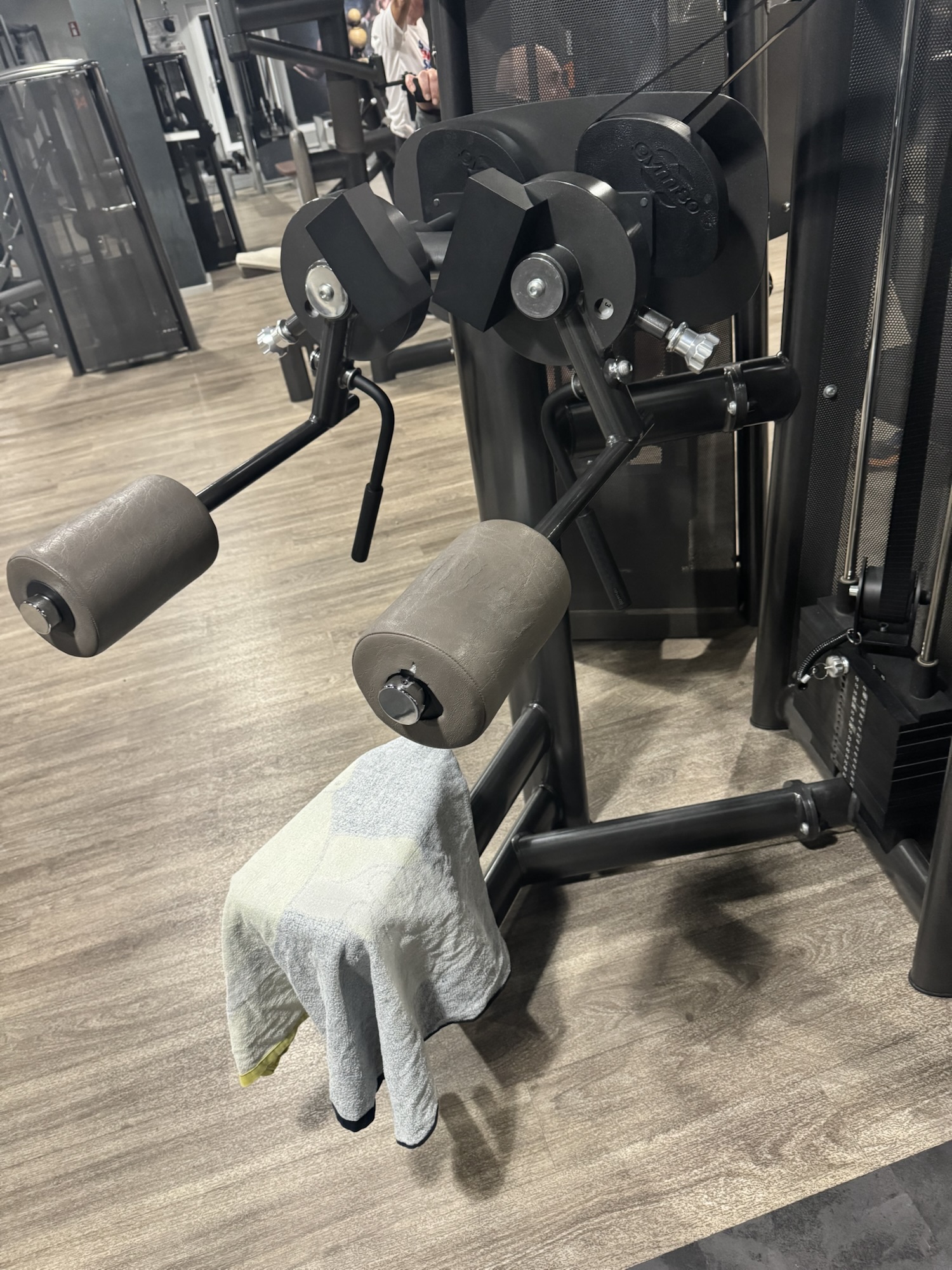 Der Bizeps zwickt, die Tour ruft: Mein Update aus dem Fitness Point Horrem