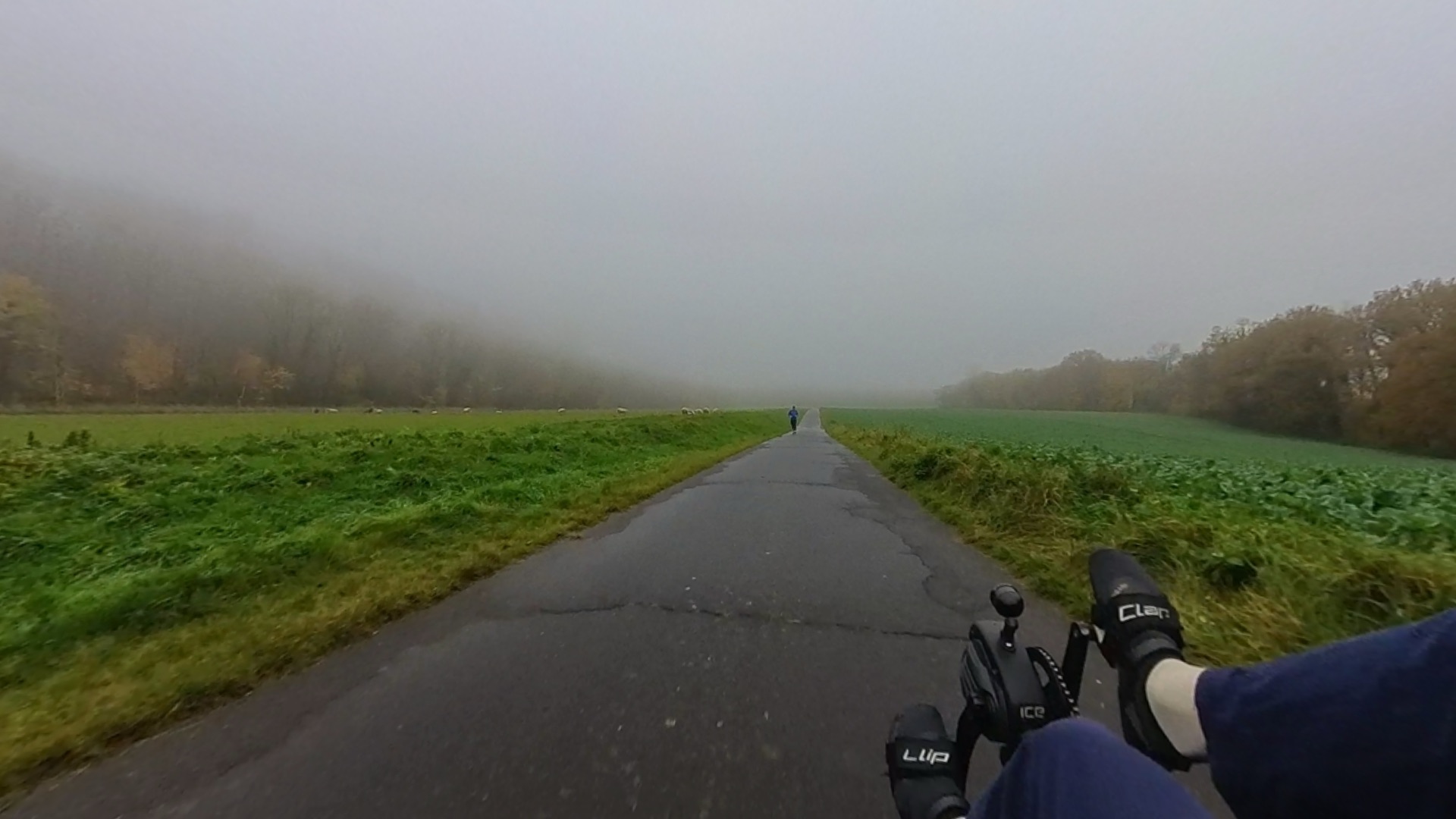 Nebel, Niesel, Panoramablick: Die Glessener Höhe – mehr als nur eine Abraumhalde.