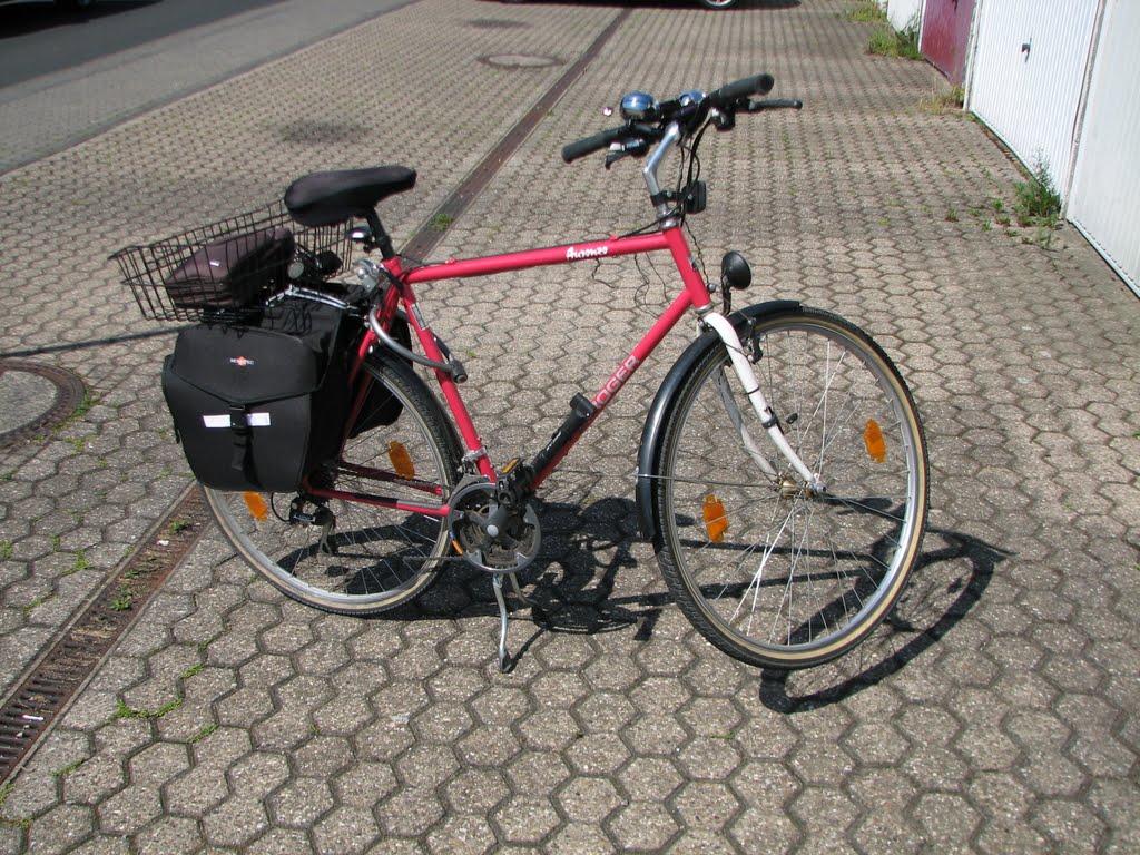 Vom Auto aufs Rad: Mein großer Wandel (Teil 2) 🚴‍♂️🌄