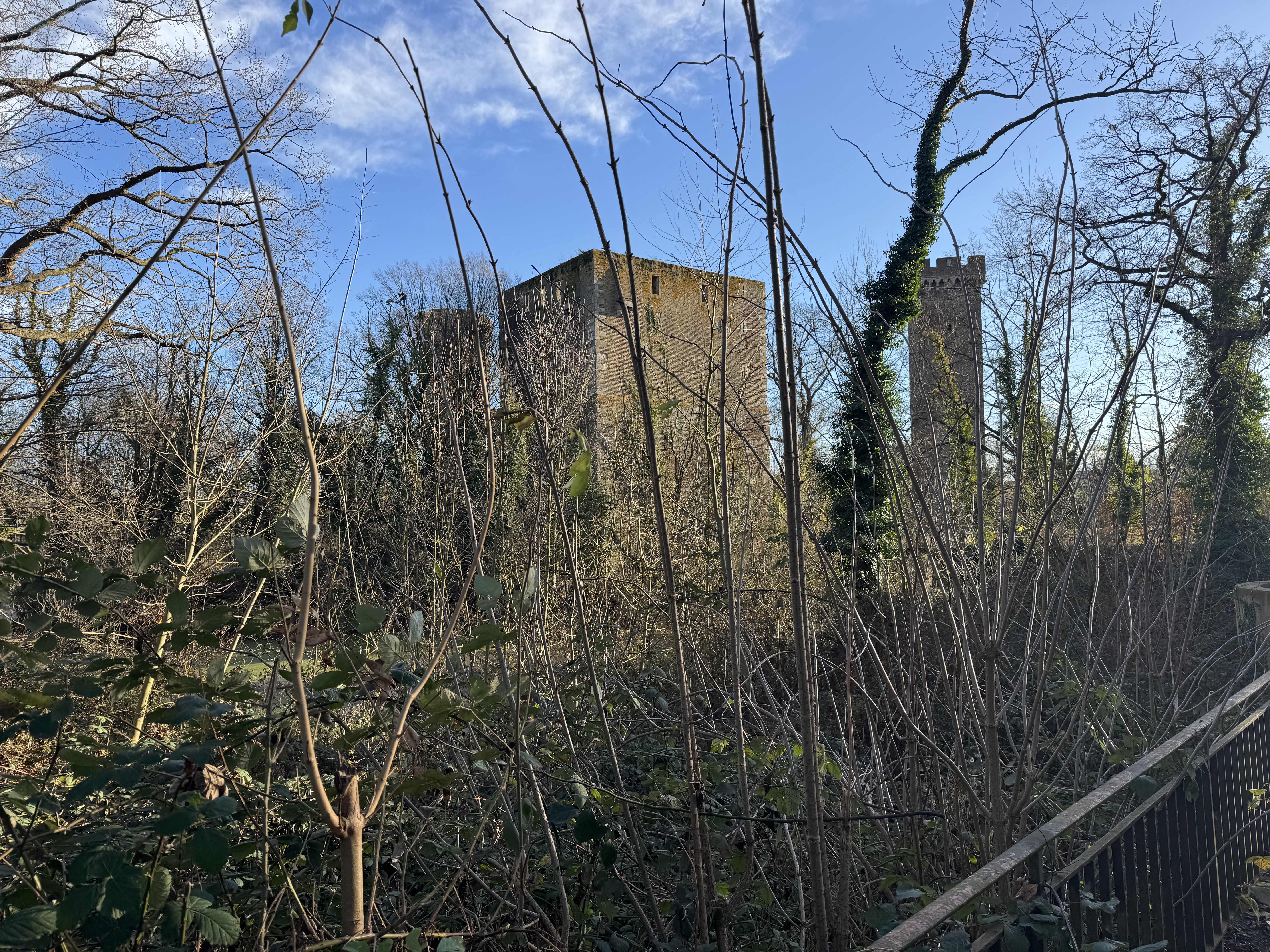 Rentner-Stress: Wenn der Kuchen das Radfahren besiegt