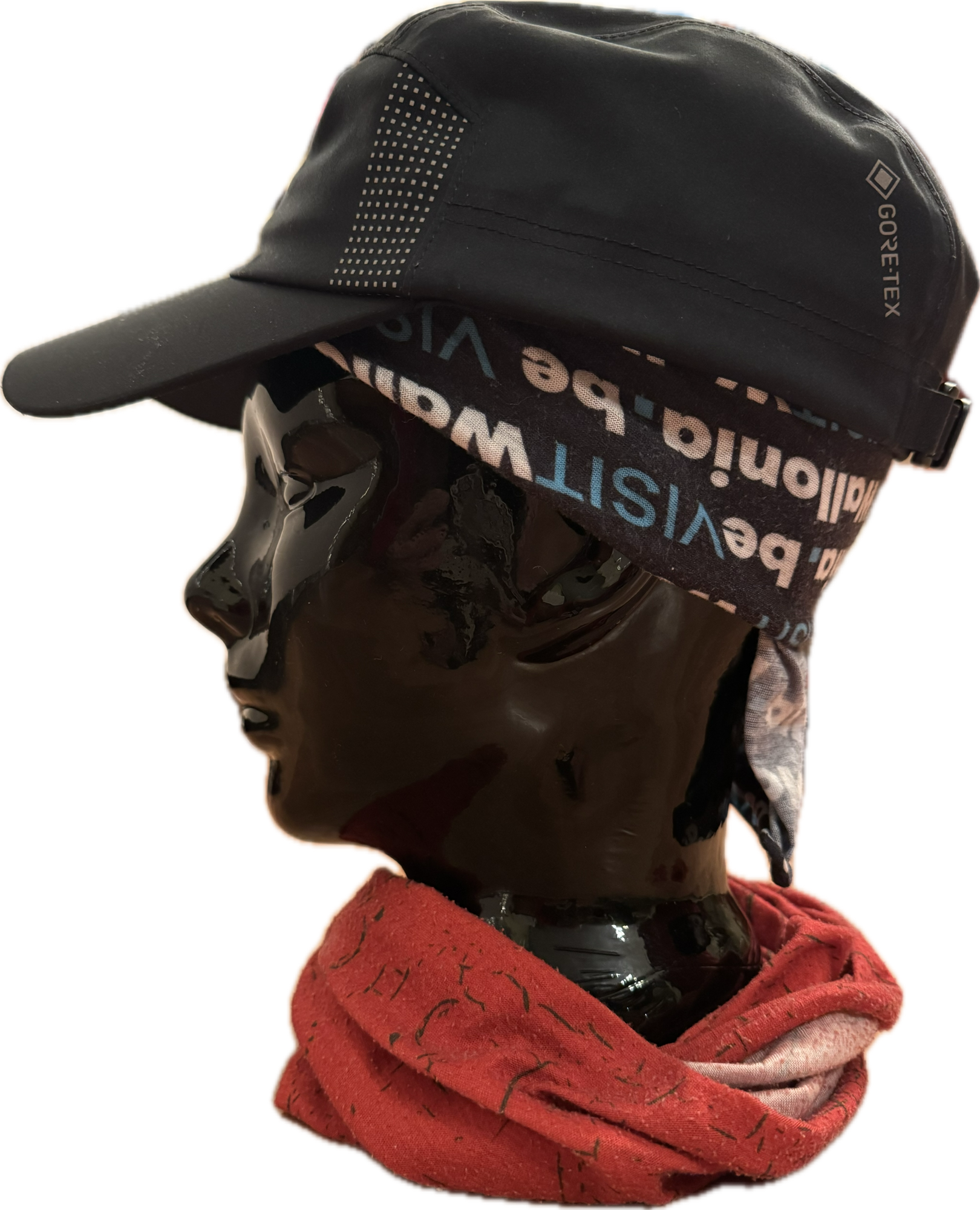 Gear Check: Gore-Tex Kappe vs. Regenschauer