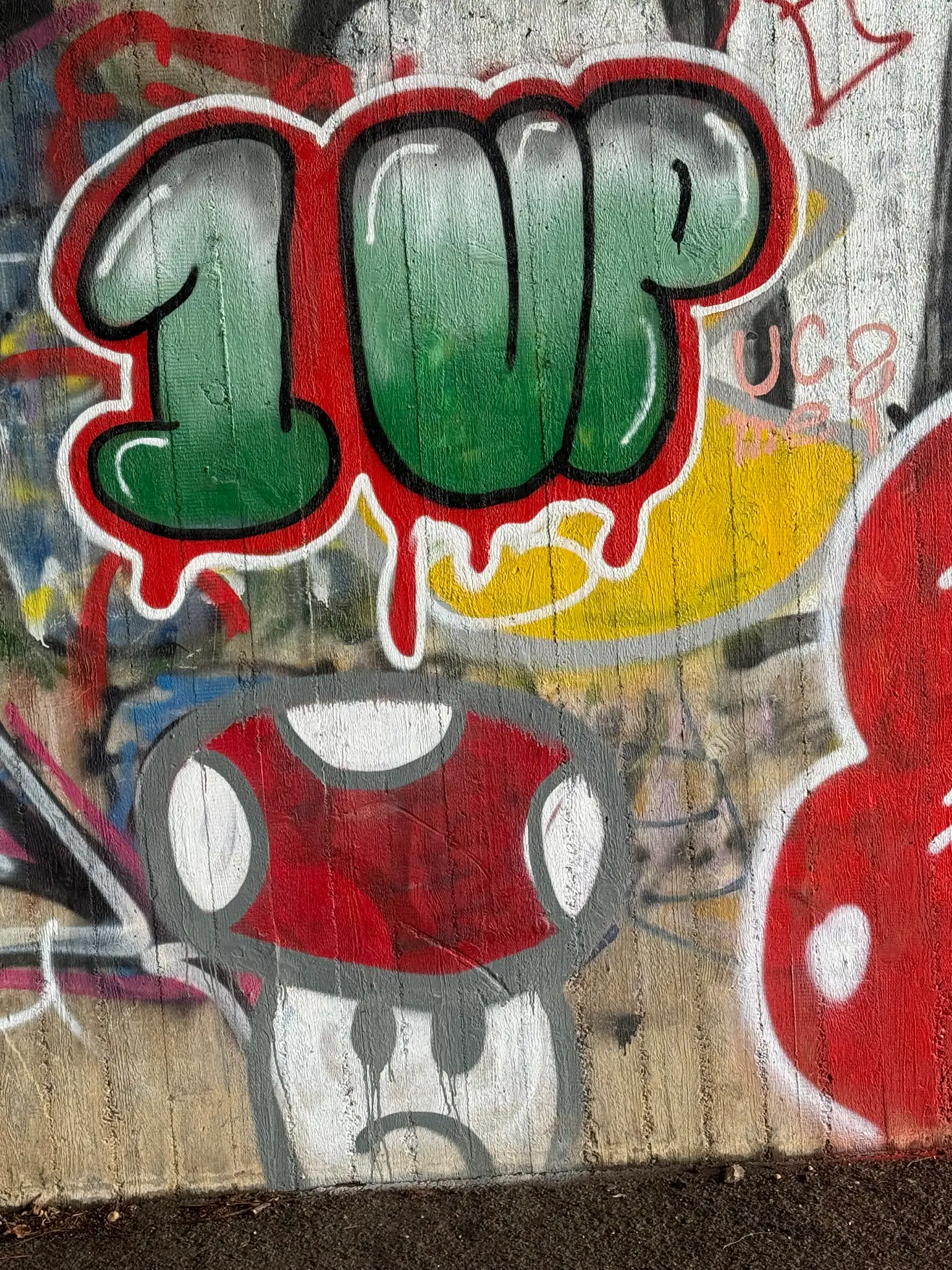 Beton-Lyrik: Ein Pilz sucht Anschluss (zwischen Erftstadt & Kerpen)