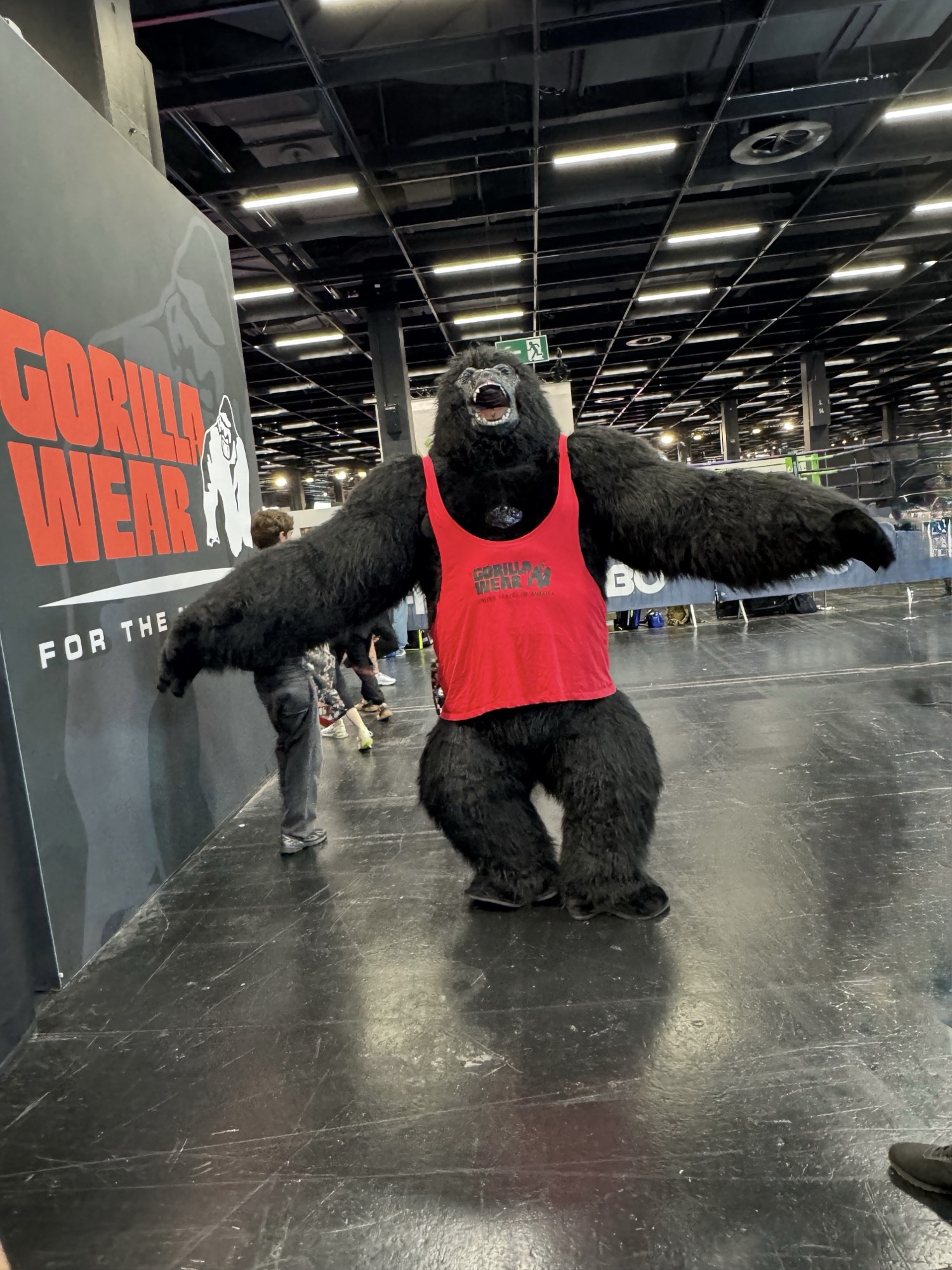 Live-Ticker: FIBO & Kölnmesse: Fitness-Trends und Messe-Highlights 2026