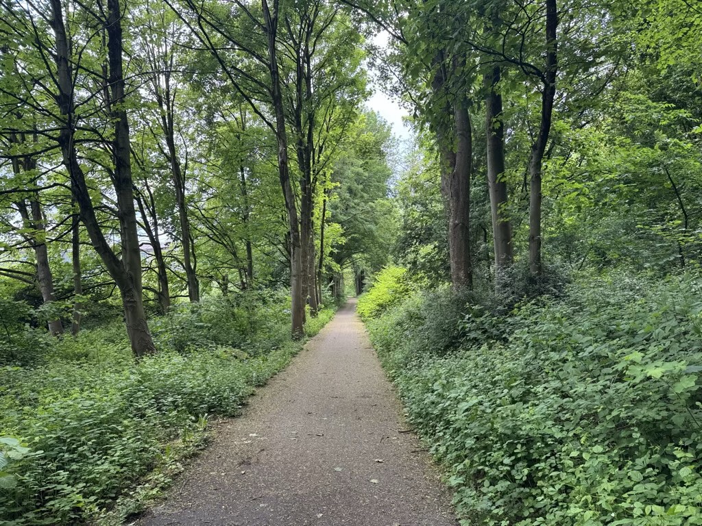🇩🇪🚴‍♂️ Live-Ticker: Mit dem Deutschlandticket und Brompton zum Cargo-Bike-Race nach Hattingen