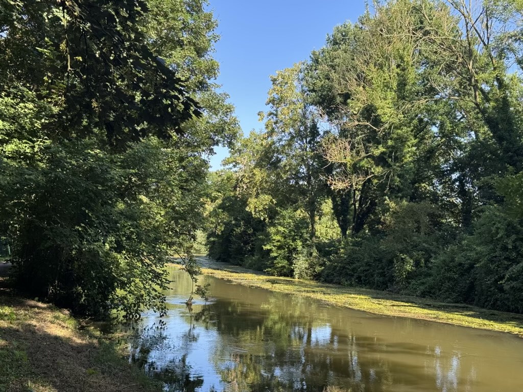 Zwischen Starkregen und Wassermangel: Streiflichter vom Erftufer