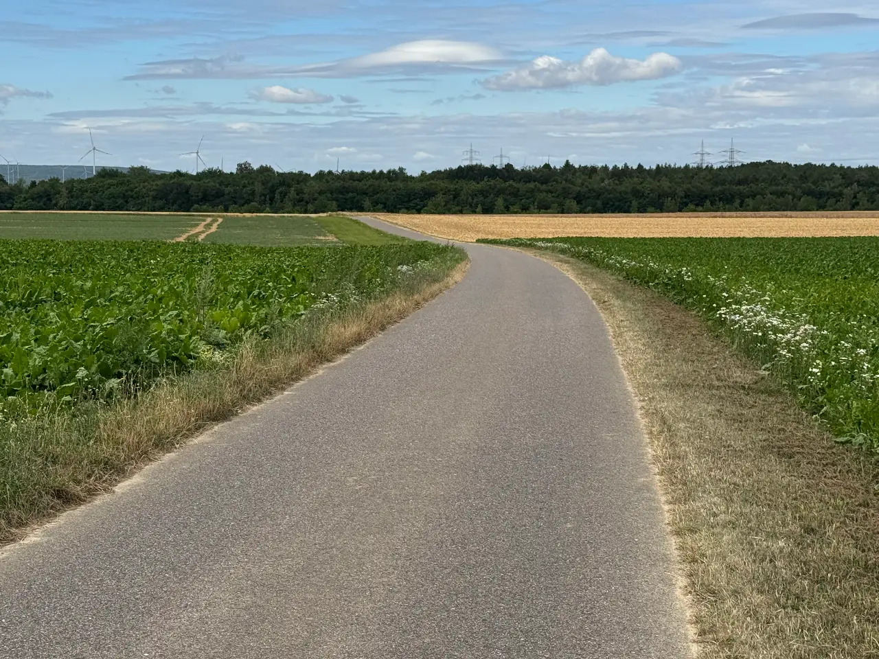 Nachnutzung der Tagebaue: Verfüllung und Flutung im Rheinischen Revier