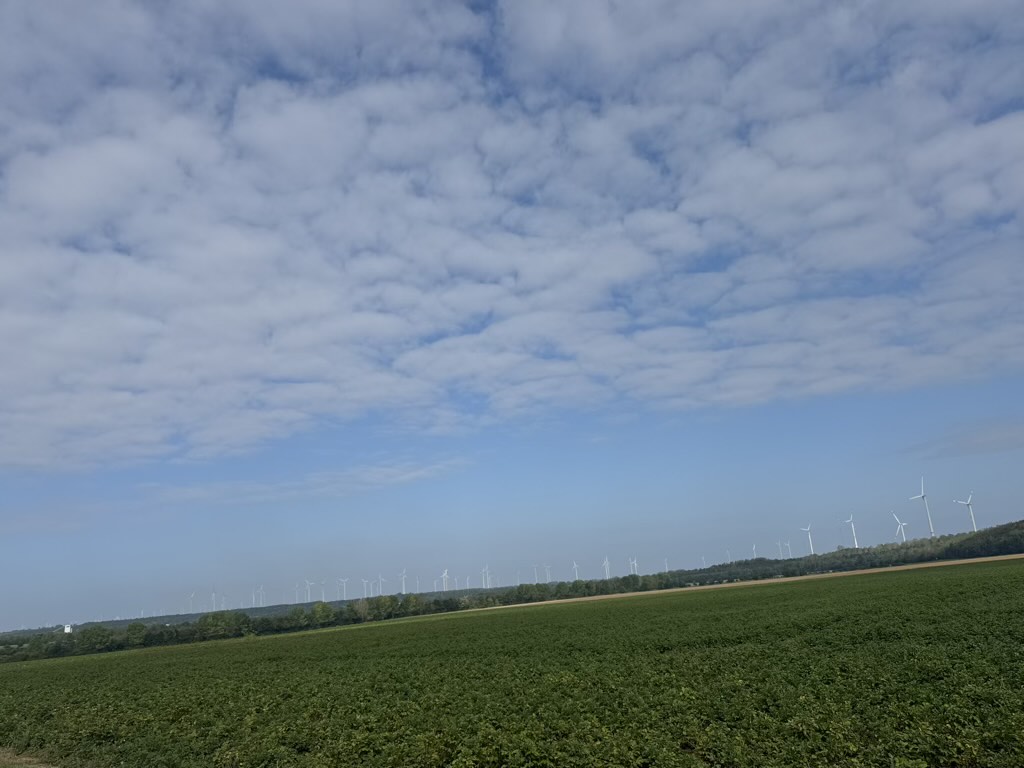 RWE Windräder am Horizont im Rheinischen Revier zwischen den Tagebauen Garzweiler und Hambach