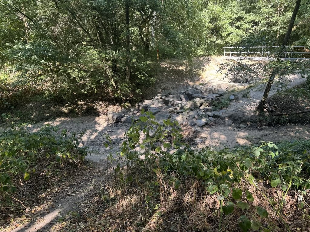 Wenn der Bach verschwindet: Schockierende Entdeckungen im Garather Forst