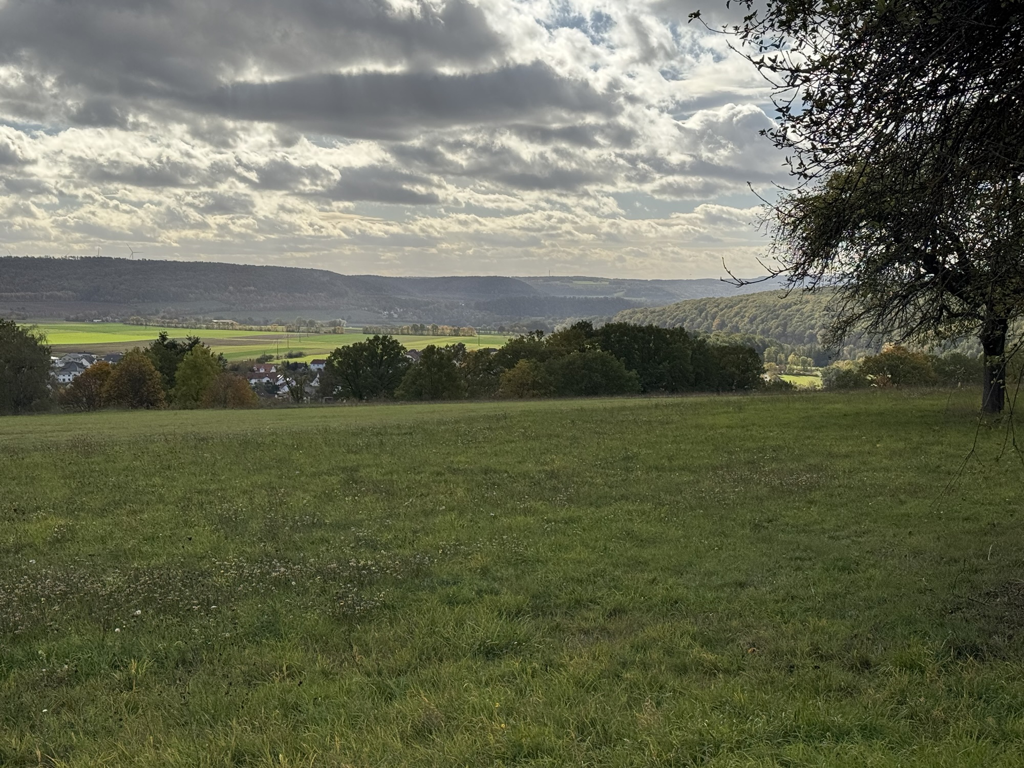 Weitblick ĂŒber eine grĂŒne Wiese auf das Saaletal und die bewaldeten HĂŒgelketten der Rhön unter leicht bewölktem Himmel.